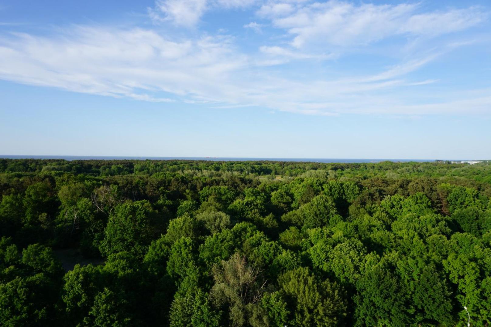 Mieszkanie Z Widokiem Na Morze Trojmiasto - Plaza - Klima - Sauna I Silownia - Parking Apartment