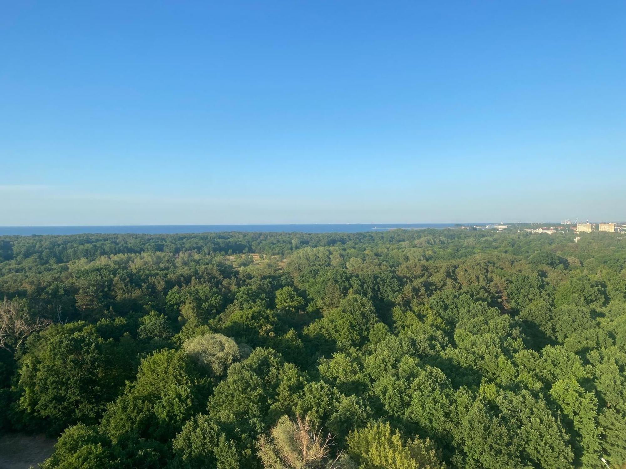 Mieszkanie Z Widokiem Na Morze Trojmiasto - Plaza - Klima - Sauna I Silownia - Parking Apartament